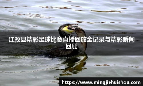 1xBET平台
