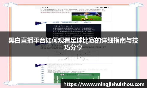 1xBET注册